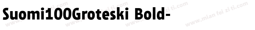 Suomi100Groteski Bold字体转换